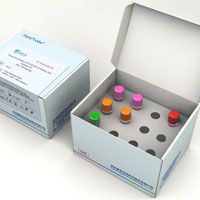 COVID-19/SARS-COV-2